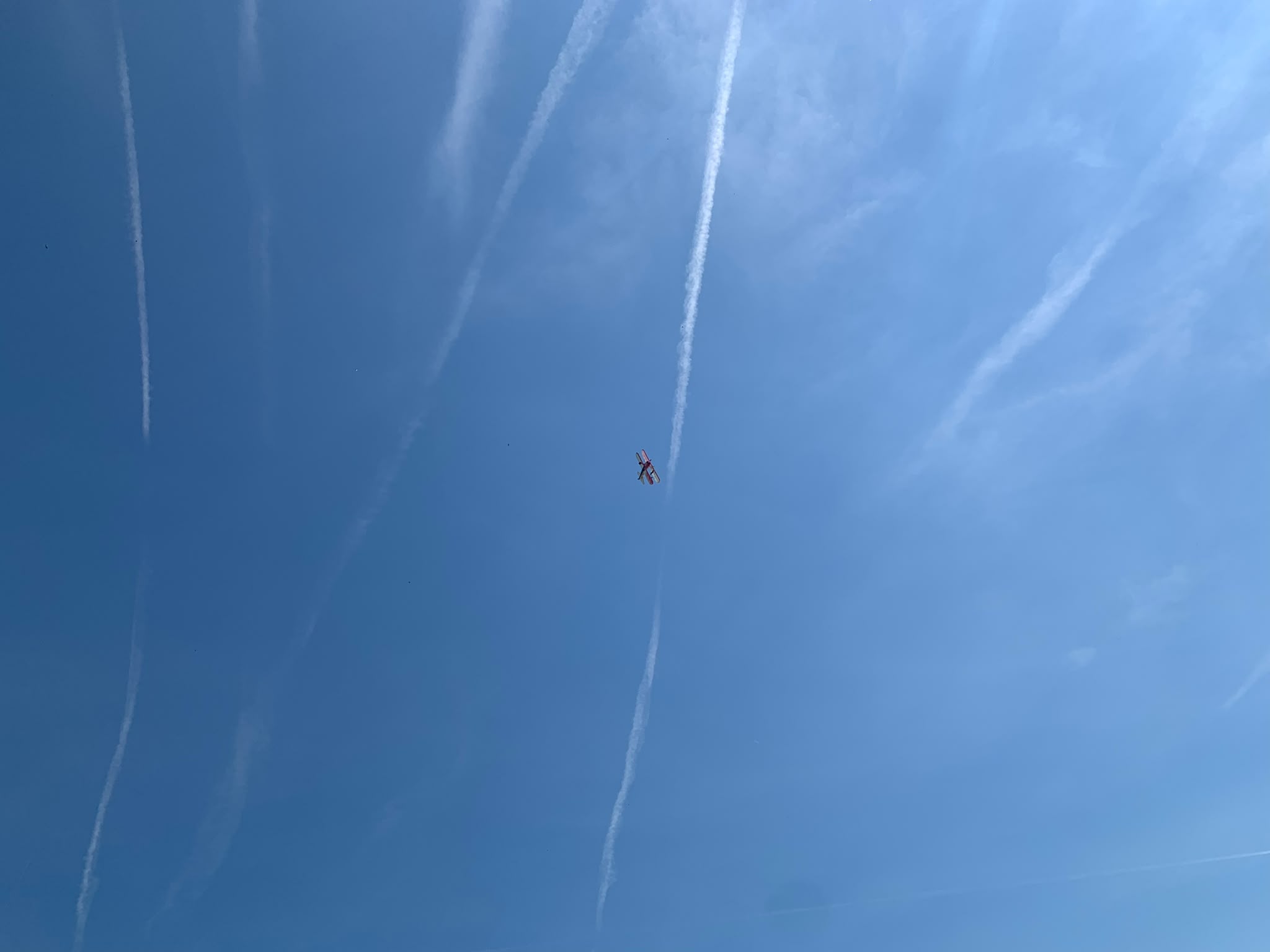 IMG 0042