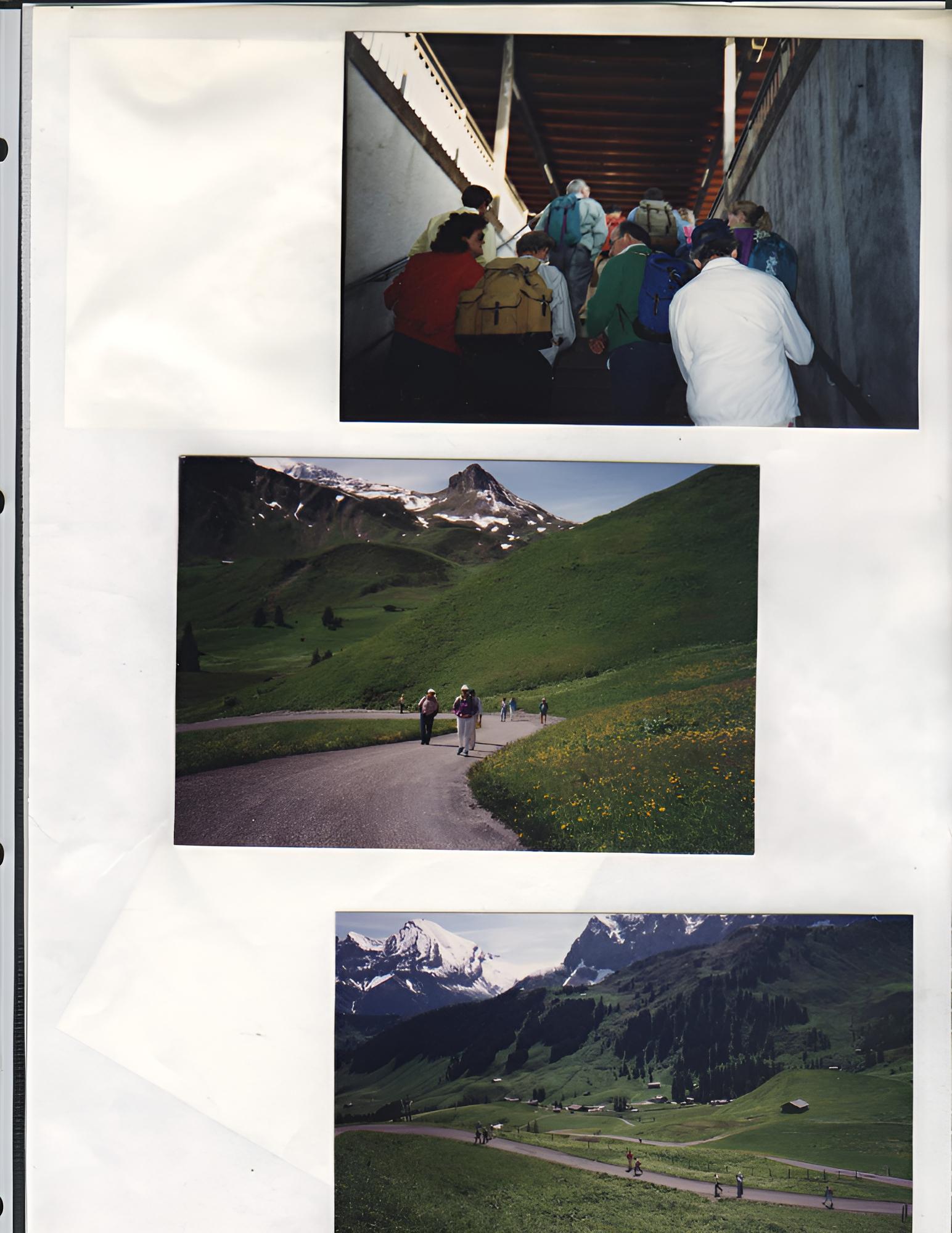 IMG 045a